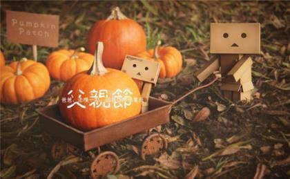 秋日的信笺，人生的诗篇【黛妆素笺】