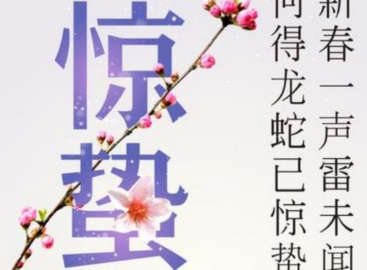 一树金黄一树诗