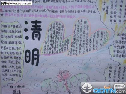 我的动物朋友小猫作文