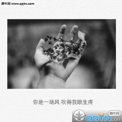 玩具行业微信扫描二维码引导语、广告语