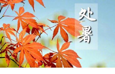 对大学生活的初步感悟