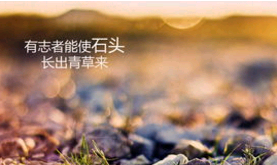 珍惜生命的作文