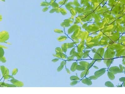 有关于疼痛的爱情长句子签名_时至今日