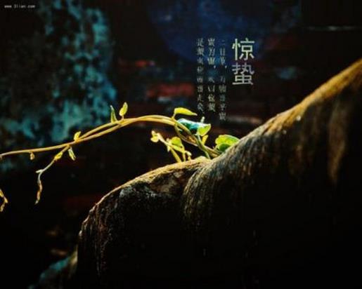 微信个性签名爱情深情表白 我喜欢跟你在一起