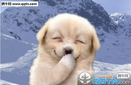 幸福爱情签名 我们在一起四年了