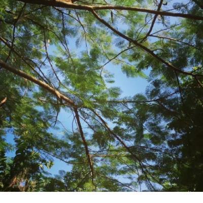 qq个性签名姐妹闺蜜的 閨蜜