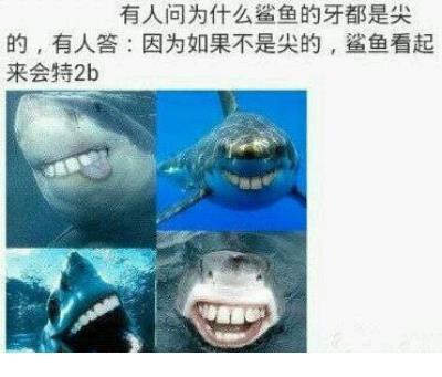 比较逗比的个性签名