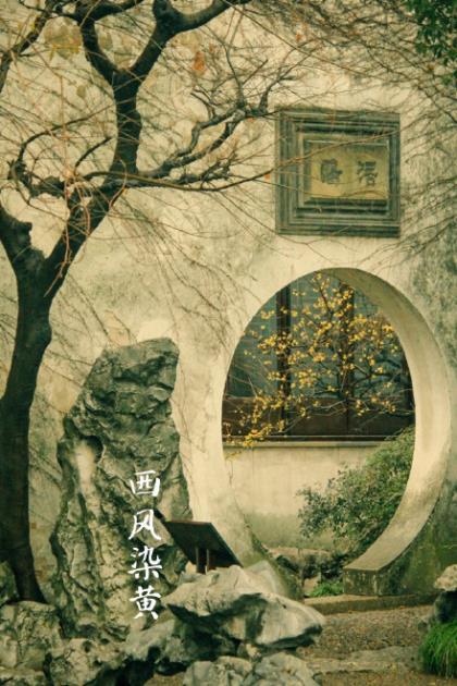 网络上最流行的超搞笑个性签名大全_就开始吃益达