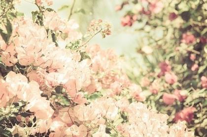 女生暗恋一个人心酸凄美的微信个性签名--所以我痴心等待。