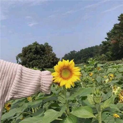 愚人节搞笑个性签名 我想要的未来