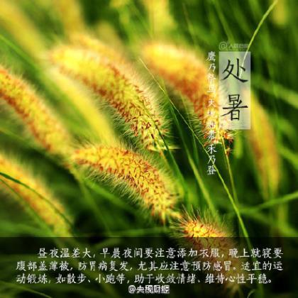 好兄弟的个性签名