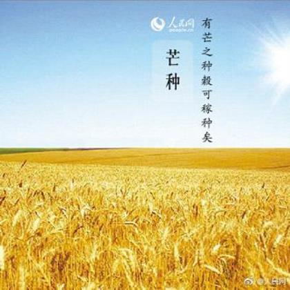 表白爱意的浪漫个性签名 我晓得你很忙
