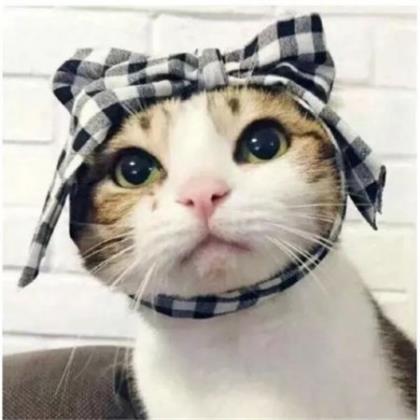 孤独之路我一人走的个性签名励志 不是我绝情