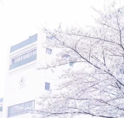 微信英文签名带翻译女生唯美 Faking