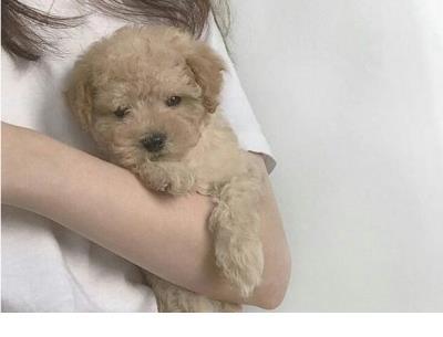 女生暗恋的个性签名
