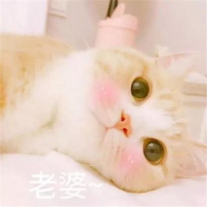 专属热恋情侣微信签名肉麻甜蜜的