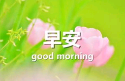 微信非主流搞笑个性签名、元旦到了