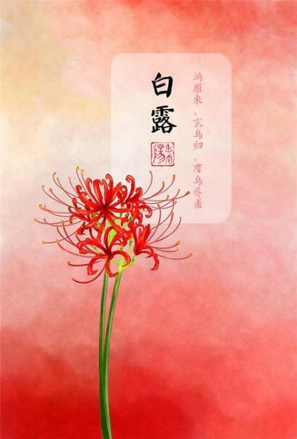 伤感个性签名男生英语、throw