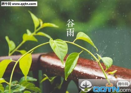 青春校园国学励志名言名句签名大全