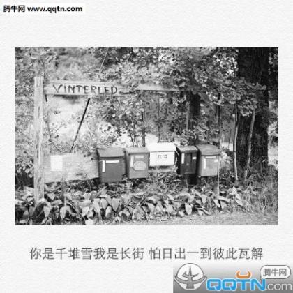 2021校园个性签名励志青春阳光 四大名著