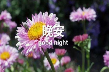 洋气且有气质的微信经典个性签名