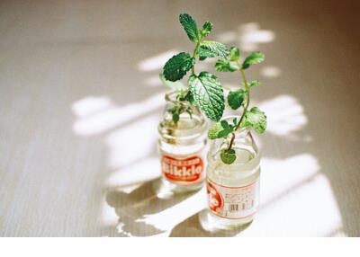 光棍节一句话签名--学校真会挑日子。