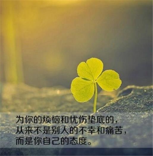 阳光心态人生励志经典个性签名--激伤害你的人