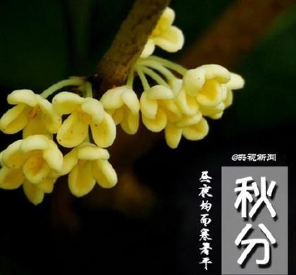 霸气闺蜜个性签名一对