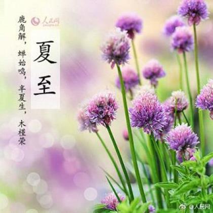 最新超拽逗逼搞笑个性签名、找不到我想要的