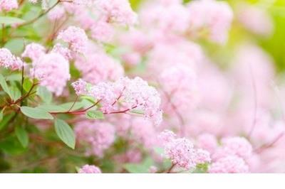 精选非常有范儿的微信签名、我越发的木然