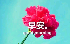 QQ超拽女生签名大全2021最新版的_爱因斯坦