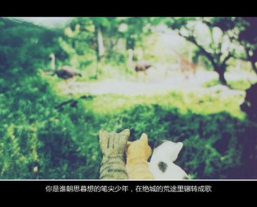 最好的不一定是最适合自己的qq签名