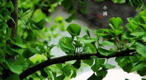 霸气的英文签名带翻译_Nothing