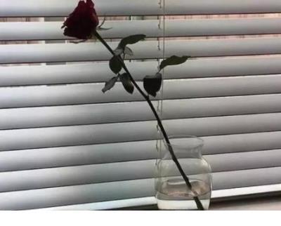 向男生告白个性签名_二斤桃花酿做酒